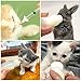 Suxgumoe Kitten Puppy Feeding Bottles and Syringes with Nipples, Small Animals Milk Bottles Feeding Tools for Newborn Kittens, Puppies, Rabbits