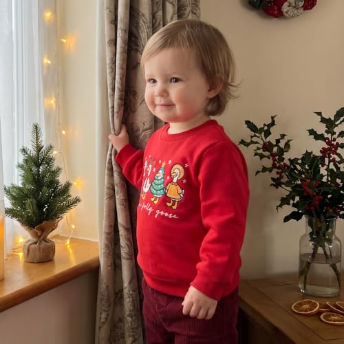 Kids' Jolly Goose Red Sweatshirt, alternative view 2