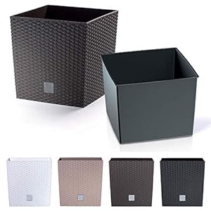 rg-vertrieb Blumenkübel Modell Low (400 Anthrazit) Rattan-Optik