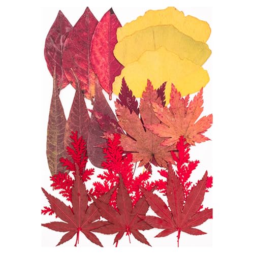 VRԃhCt[tZbgNtgXNbvubLOWG[CLOtHgt[dbP[XNtghCt[