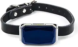 Localizador de Pet Coleira Rastreadora GPS para Cachorro e Gato Anti-Perdida IP67 Posicionamento Preciso Rastreamento Real Vários Alarmes Geo-Fence Gerenciamento Remoto Carregamento USB Compacto Leve