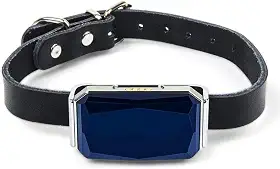 Localizador de Pet Coleira Rastreadora GPS para Cachorro e Gato Anti-Perdida IP67 Posicionamento Preciso Rastreamento Real Vários Alarmes Geo-Fence Gerenciamento Remoto Carregamento USB Compacto Leve