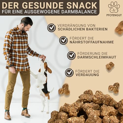 PFOTENGUT® Verdauungssnacks für Hunde [Made IN Germany] - 150 Snacks zur Förderung der Darmflora & Verdauung - Leckerlis zur Stärkung des Immunsystems - Probiotika Hund - Darmflora Aufbau Hund