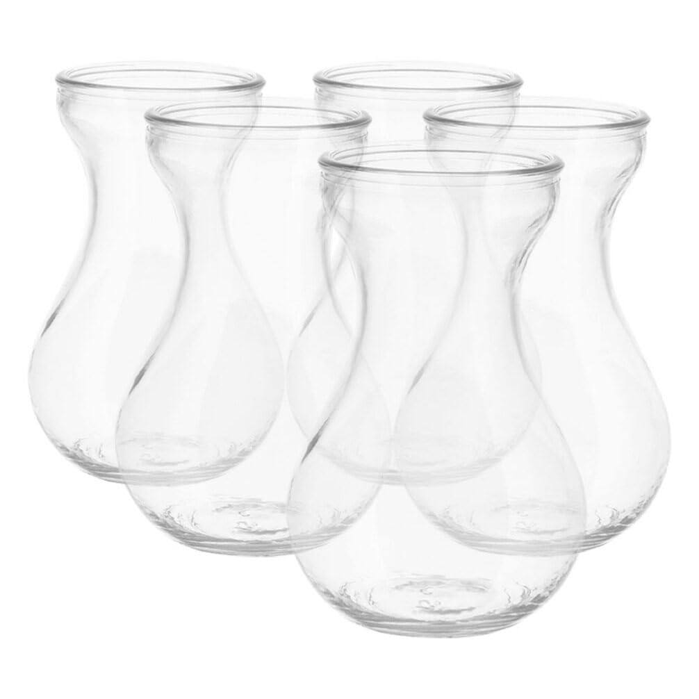 Alipis Glass Hyacinth Bulb Vase Set of 5 Clear Small Desktop for Indoor Plants Hydroponic Flower Vases Table Centerpiece Home Office Decoration