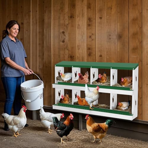 Chicken Nesting Boxes, 8 Compartments Nesting Boxes, Metal Chicken Laying Box with Roll Out Egg Collection with Vented Holes for Hens, Green