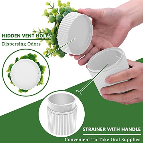 Denture Bath, Invisible Denture Case Designed As Artificial Eucalyptus Potted Plants, Denture Cup With Strainer For Retainer, Mouth Guard & Dentures, Perfect For Home Decoration #TOP1