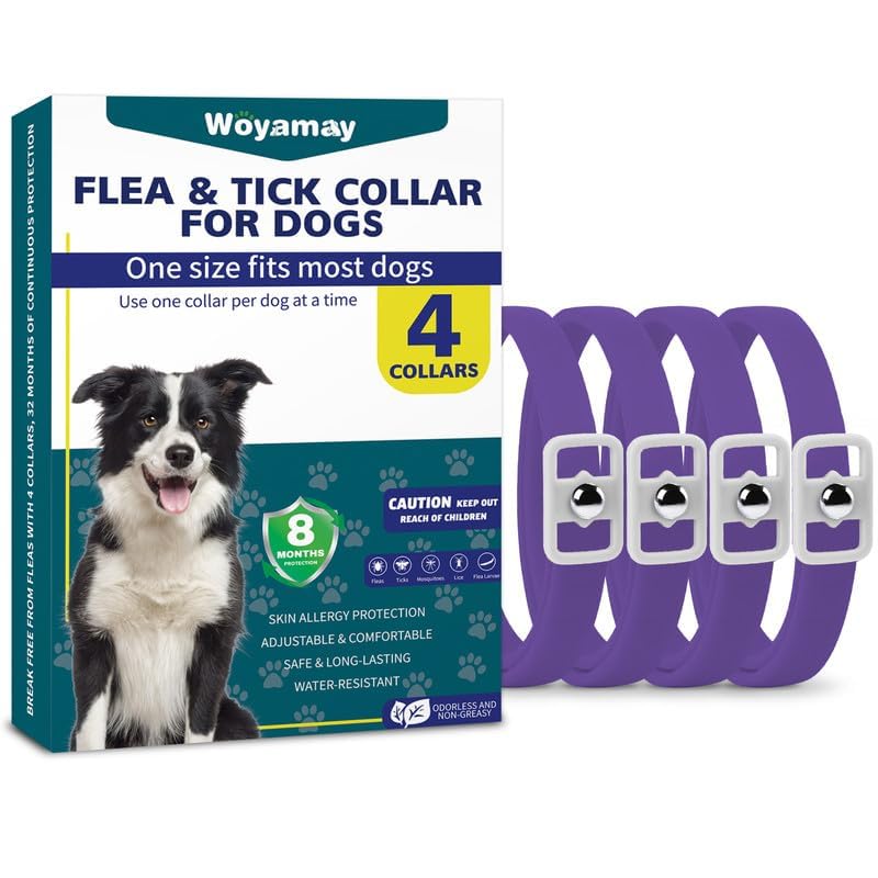 Woyamay Collar Antiparasitario Perros, Paquete De 4 Natural 8 Meses de Protección Collar Antipulgas Perros, Resistente Al Agua Regulable Collar Pulgas y Garrapatas Perros para Perros, Morado