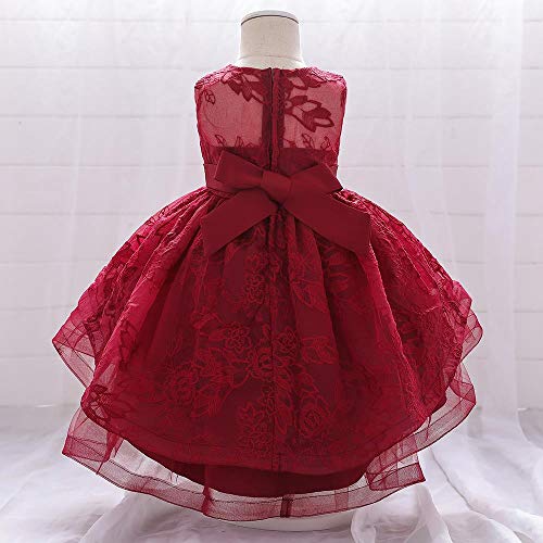 Dressy Daisy Baby Girls Wedding Flower Girl High Low Party Dress with Lace Embroideries for Pageant Special Occasion2