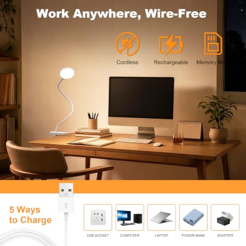 Image of 61 LED Battery Reading Lamp Bed - 3 Colour Modes & 10 Brightnesses: 2000 mAh Clamp Lamp with USB-C, 40 cm Flexible Gooseneck, Book Lamp, Clamp Light for Bedroom, Desk & Camping