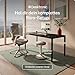 Desktronic Verstellbarer ergonomischer Bürostuhl | Schreibtischstuhl mit Lendenwirbelstütze - rückenfreundlich- Computerstuhl höhenverstellbar...