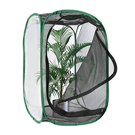 Collapsible Butterfly Habitat Net