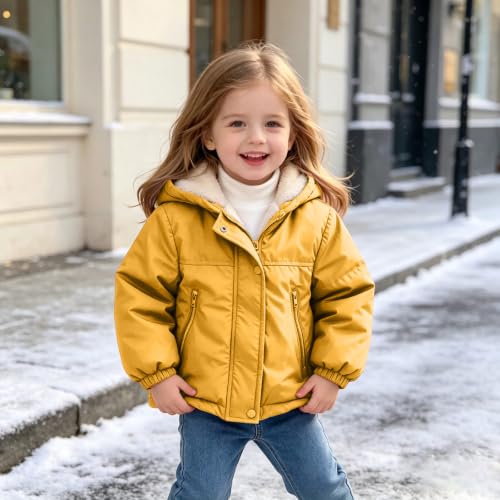 Luuegef Ropa para Niña De 2 Años Baby Puffer Jacket Toddler Fleece Lined Jacket Girl Winter Hooded Warm Cute Puffer Coat Casual Ropa para Niña De 8 Años Back to School Outfits 8 Years - image 2