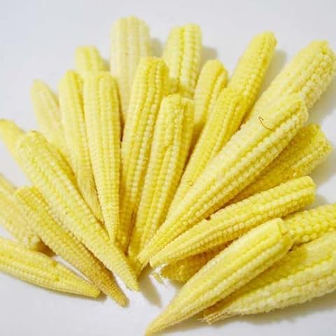 Mini Corn Minipop, Baby Corn 10 Seeds - Perennial Cover