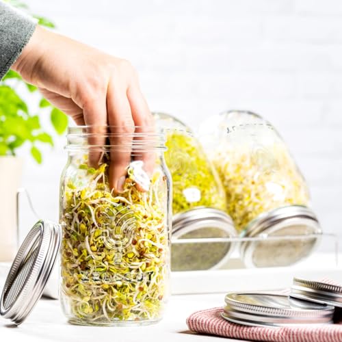 ZELLGUT® Juego de 2 vasos de brotes 2 en 1, cristal germinado, 100% libre de plástico, función de cristal gracias a la tapa extra, acero inoxidable de alta calidad, fácil germinación gracias a las