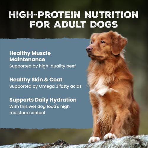 Blue Buffalo Wilderness Wolf Creek Stew with Hearty Beef in Gravy Adult Wet Dog Food, High-Protein & Grain-Free Recipe, 30g Protein, Made with Natural Ingredients, 12.5-oz. Cans (12 Count)