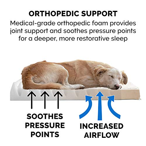 Furhaven Medium Orthopedic Dog Bed Ultra Plush Faux Fur & Suede Mattress W/ Removable Washable Cover - Cream, Medium #TOP4