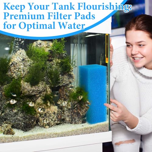 Image of Threlaco 6 Pack Foam Filters Compatible with AquaClear 110 Power Filter, Aqua Clear A623 Aquarium Filter, Foam Insert Sponge Pads for Use in Freshwater & Saltwater Aquarium (Blue)