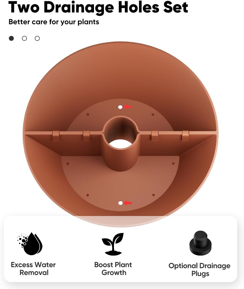 https://m.media-amazon.com/images/I/51GsAA1WtcL._AC_SL1200_.jpg