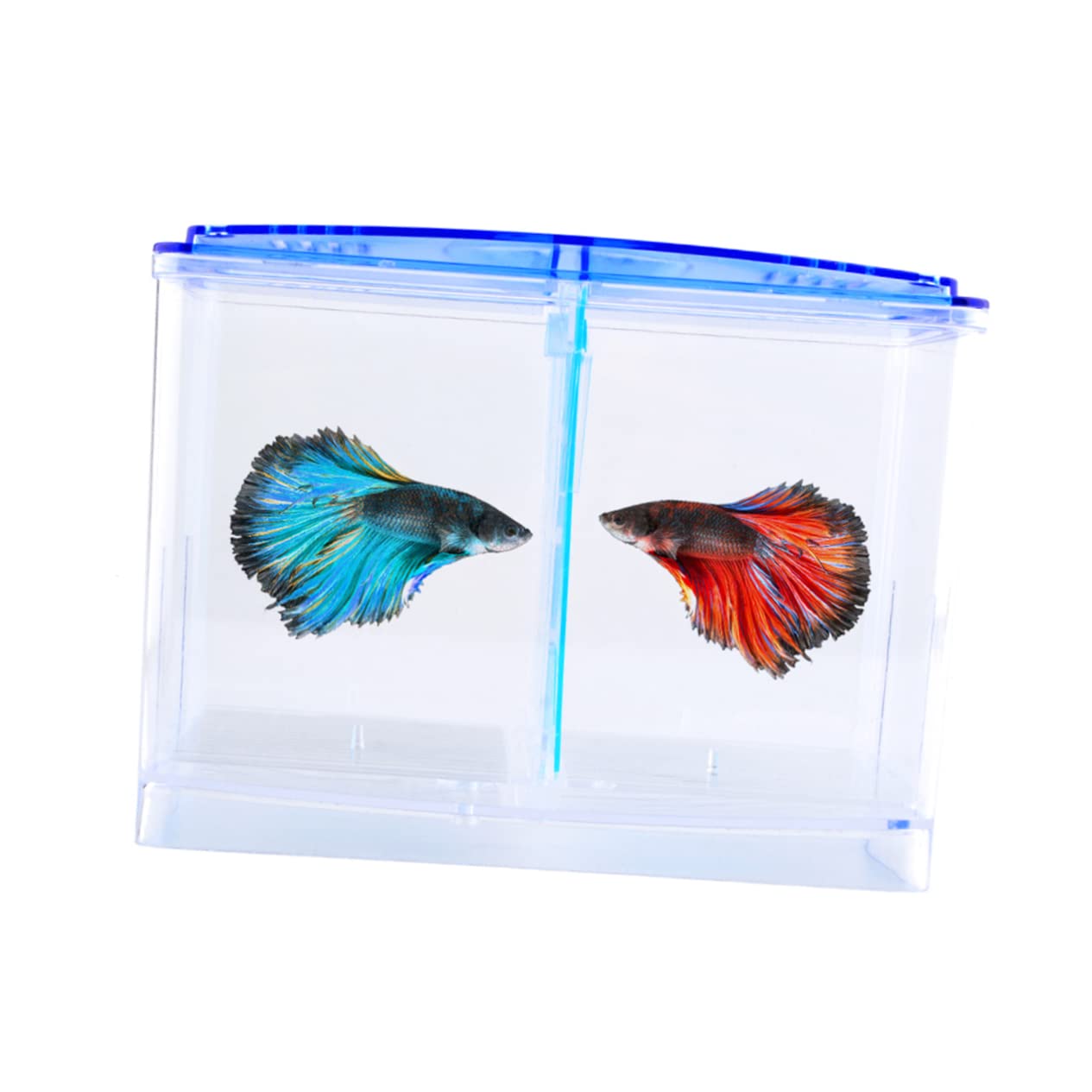 WOONEKY 3 Stücke Lebensraum Schlüpfen Box Für Aquarium Zucht Sichere Inkubator Praktische Design