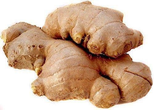 Fresh Ginger Root/Adrak - 1lb
