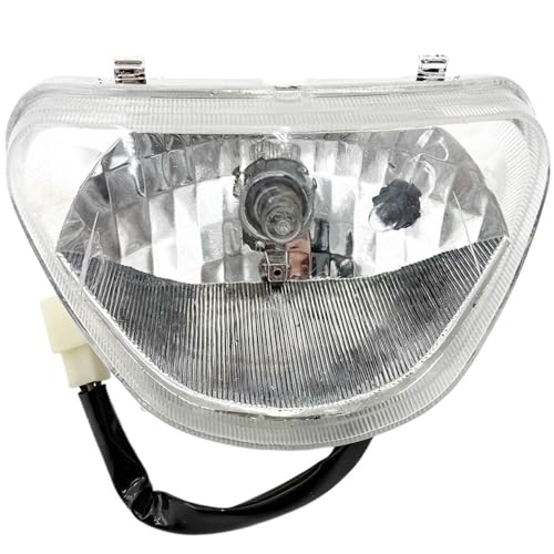 Phare antibrouillard 12V pour explorer les chemins de forêt en UTV et ATV de loisir