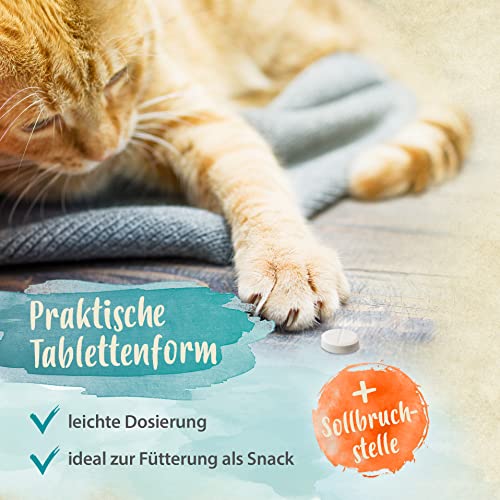 Ida Plus Bierhefe-Tabletten 120 Stück für Hund & Katze - reich an B-Vitaminen, Mineralien & Spurenelementen - glänzendes Fell, gesunde Haut & Krallen - unterstützt die Verdauung & Abwehrkräfte
