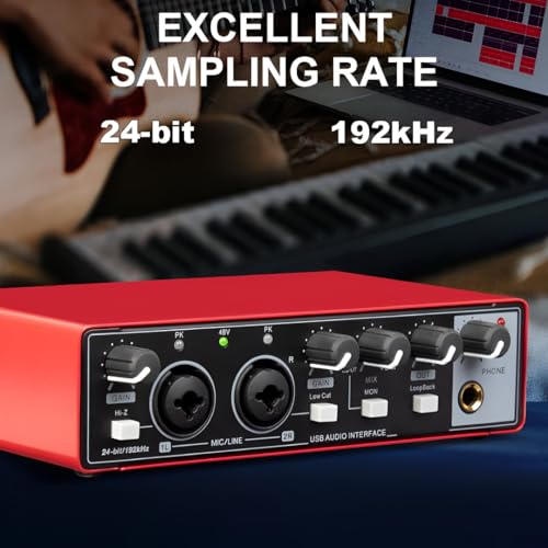 Image of Powerpak AI-06 2 Channel Audio Interface | 24-bit /192kHz High Fidelity Recording, 48V Phantom Power Support | XLR /MIC /LINE inputs | Plug and Play-No Drivers for Recording, Podcaster