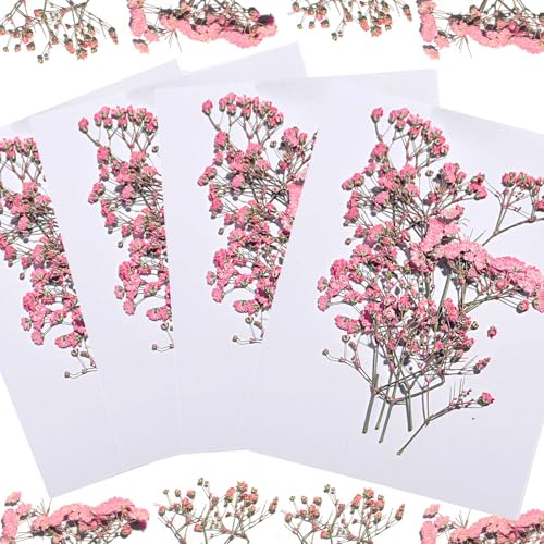 Flores secas Babys Breath rosa 96 piezas para manualidades miniatura 6