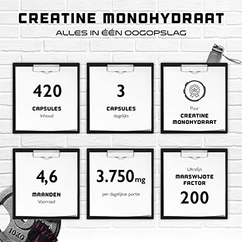 Creatine Ultra Caps - 420 capsules met elk 1250 mg zuiver creatinemonohydraat - Premium: Ultrafijn + Meshfactor van 200… - Image 3