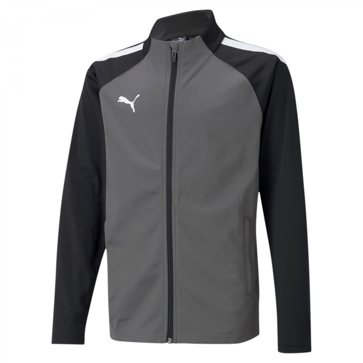 Puma Unisex Kids Gris Children's Jacket Team Liga Training