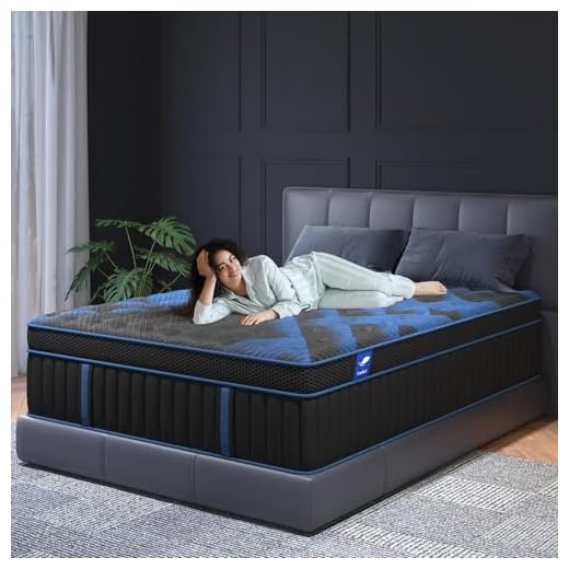 SYPIALNIA Hybrid Queen Mattress 14 Inch