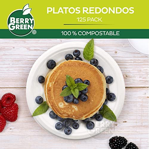 Platos Y Cubiertos, Kitchen plato desechable Marca Berry Hip (3)