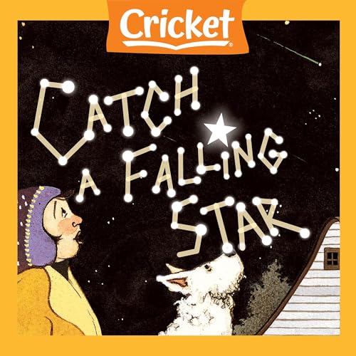 Catch a Falling Star by Bradford H. Robie episode artwork