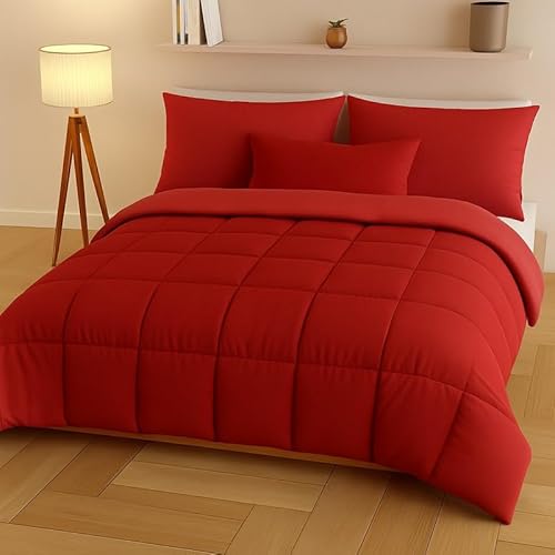 Generico FORTE - Piumone Matrimoniale Double Face, Trapunta 2 Piazze Pesante 300gr/m² Realizzata in Microfibra Morbida e Accogliente, Trapunta Matrimoniale Invernale (Bordeaux)