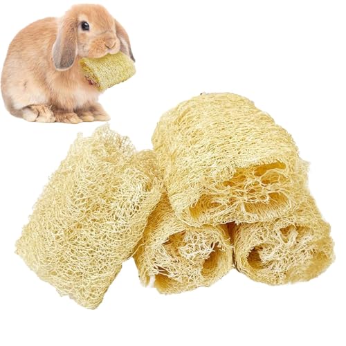   ,4 _ w`} W[r  pi | ^肨 | D VF^[ Vbv L  rO xbh[  ItBX Ap[g P[Wp