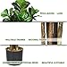 Goplus Fake Fiddle Leaf Fig Tree, 6FT Tall Artificial Tree Greenery Plants in Pots, Decorative Faux Trees for Indoor Home Office
