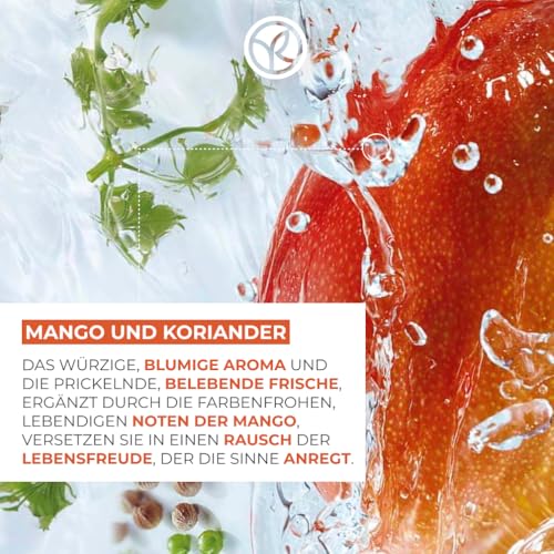 equivalencias perfumes yves rocher