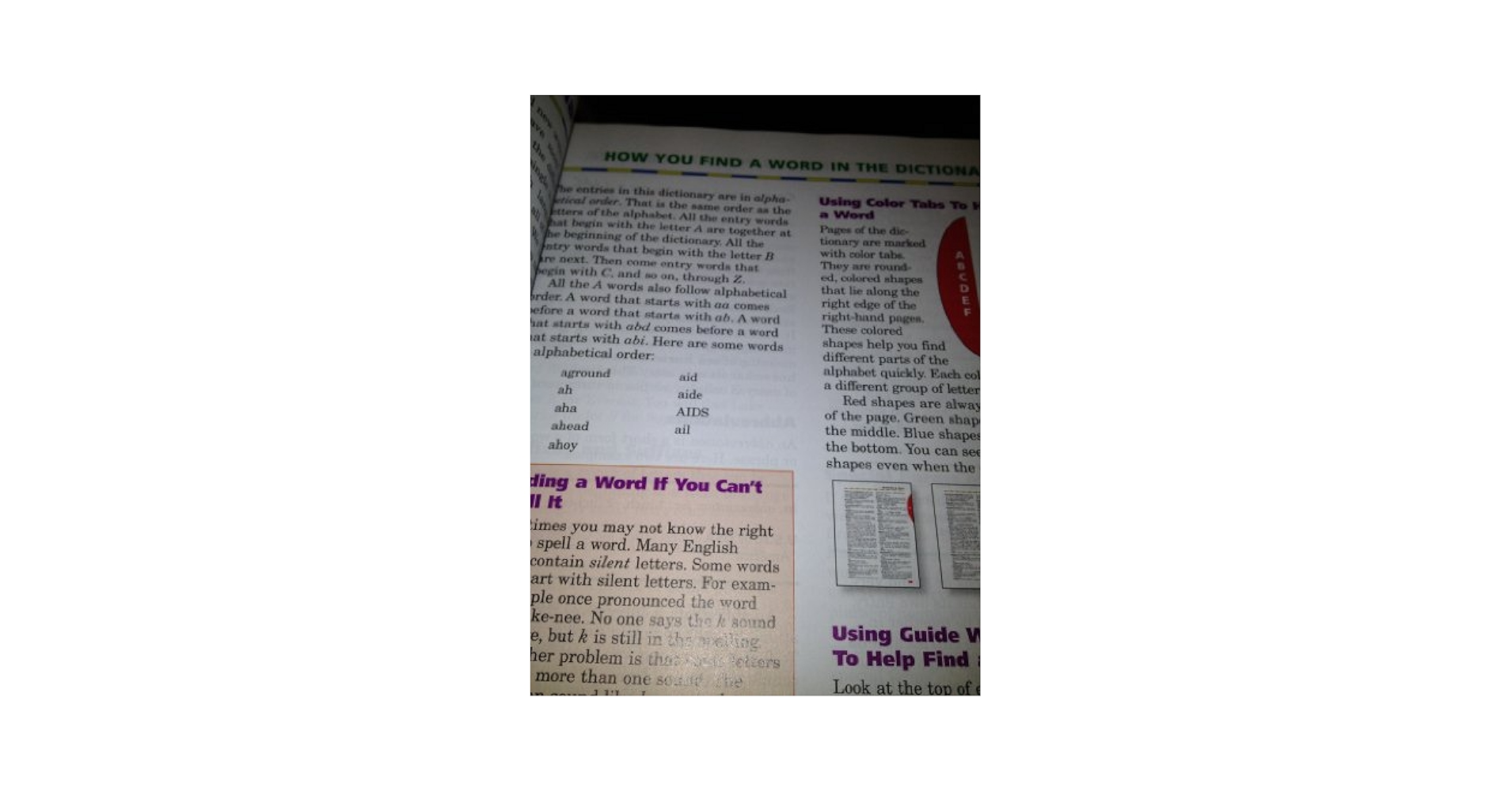 Webster's New World Children's Dictionary: Agnes, Michael