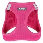 rabbitgoo Small Dog Harness, Step-in Soft Mesh Puppy Vest, Easy Walk with Safety Buckle, Breathable Reflective Pet Harness for Small Sized Dogs, Rose Red M