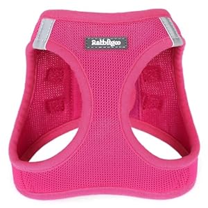 rabbitgoo Small Dog Harness, Step-in Soft Mesh Puppy Vest, Easy Walk with Safety Buckle, Breathable Reflective Pet Harness for Small Sized Dogs, Rose Red M
