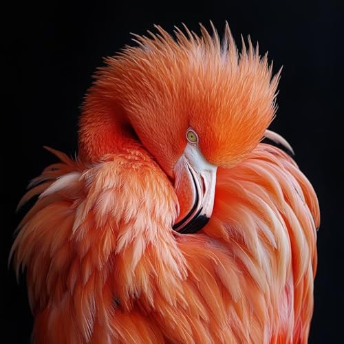 G , G LoX t~S, DIY Paint by Numbers for Adults Kits ܂ ANyCg uV, DIY hG K؂ l S, ƒItBX̕Ǒ, Mtg , 60x