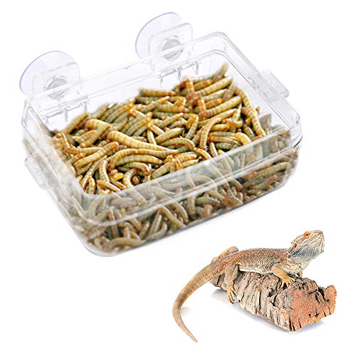HEEPDD Alimentador de Reptiles, Anfibios Reptiles Alimentador Anti-Escape Lavabo de alimentación de lombrices Transparente con Ventosa para Serpientes Gecko Iguana de lagartijas de camaleón