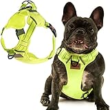 Dog Harness for Medium Dogs No Pull Accessories Leash Cat Harness Collars for Large Small Puppy...