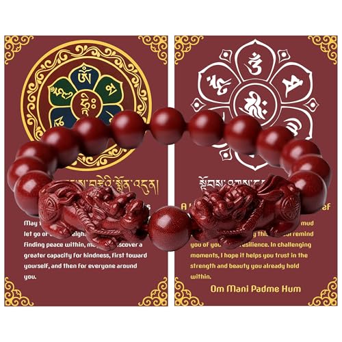 Double Pi Xiu Cinnabar Bracelet for Women, Feng Shui Wealth Amulet, Beaded Stretch Good Luck Jewelry2