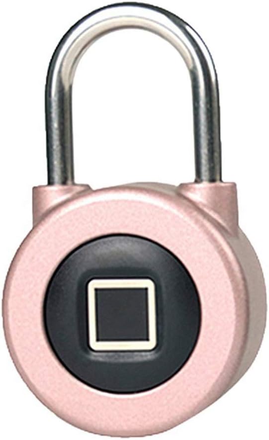 Fingerprint Lock Smart Padlock Thumbprint Lock 20 Sets Fingerprints Keyless Anti-Theft for Locker House Door Bike Suitcase