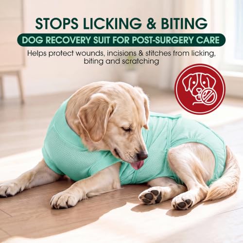 Image of Kuoser Dog Surgery Suit Female Spay, Dog Recovery Suit Male Neuter