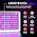 KingLED 2023 Newest 600w LED Grow Lights 10x Optical Condenser 2x2ft Coverage Full Spectrum Grow Lights for Indoor Hydroponic Plants Veg Bloom Greenhouse Growing Lamps
