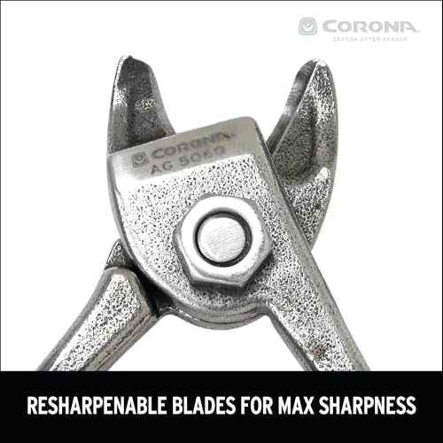 Tijeras corona para manzanas y naranjas miniatura 5
