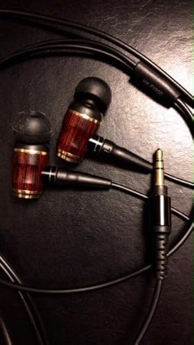 JVC HA-FX850 WOODシリーズ カナル型イヤホン