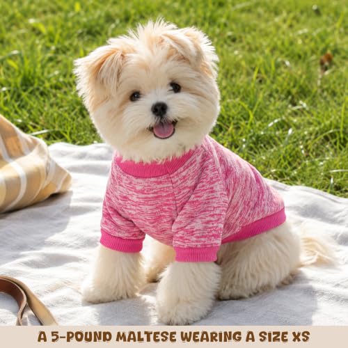 Image of 4 Pack Dog Sweaters for Small Dogs Girl Boy Winter Fleece Clothes Warm Soft Dog Sweatshirt Outfit for Dogs Cats Pet Apparel